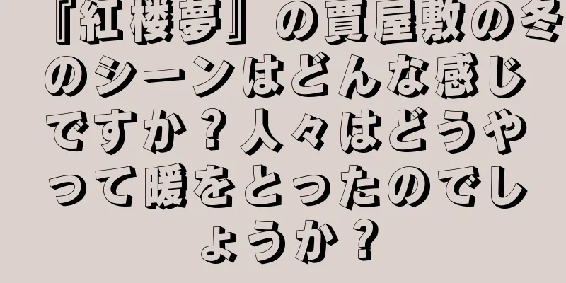 『紅楼夢』の賈屋敷の冬のシーンはどんな感じですか？人々はどうやって暖をとったのでしょうか？