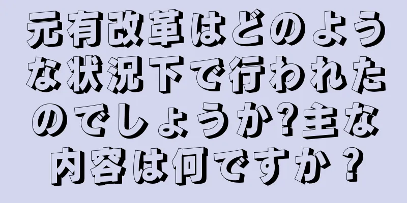 元有改革はどのような状況下で行われたのでしょうか?主な内容は何ですか？