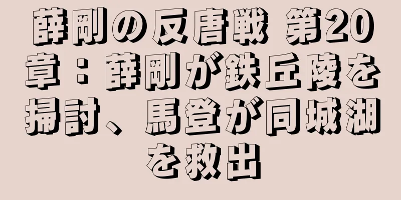 薛剛の反唐戦 第20章：薛剛が鉄丘陵を掃討、馬登が同城湖を救出