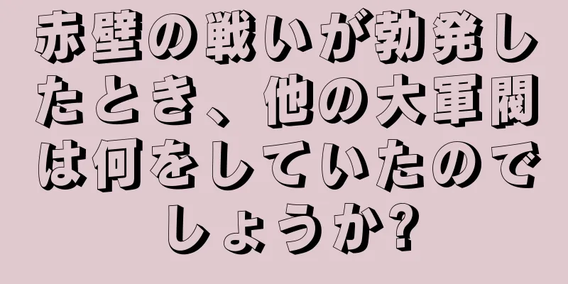 赤壁の戦いが勃発したとき、他の大軍閥は何をしていたのでしょうか?