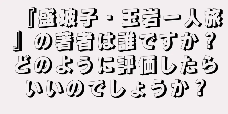 『盛坡子・玉岩一人旅』の著者は誰ですか？どのように評価したらいいのでしょうか？