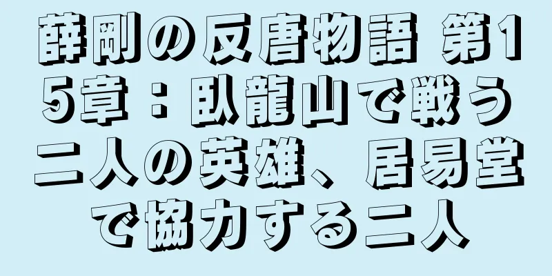 薛剛の反唐物語 第15章：臥龍山で戦う二人の英雄、居易堂で協力する二人