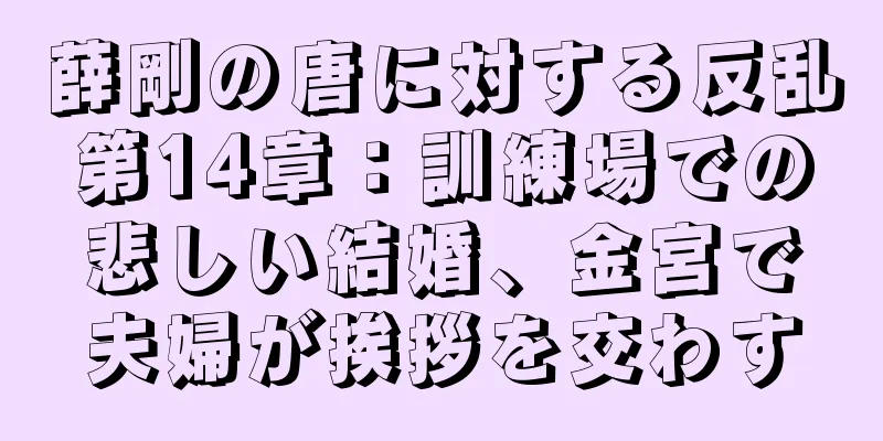薛剛の唐に対する反乱第14章：訓練場での悲しい結婚、金宮で夫婦が挨拶を交わす