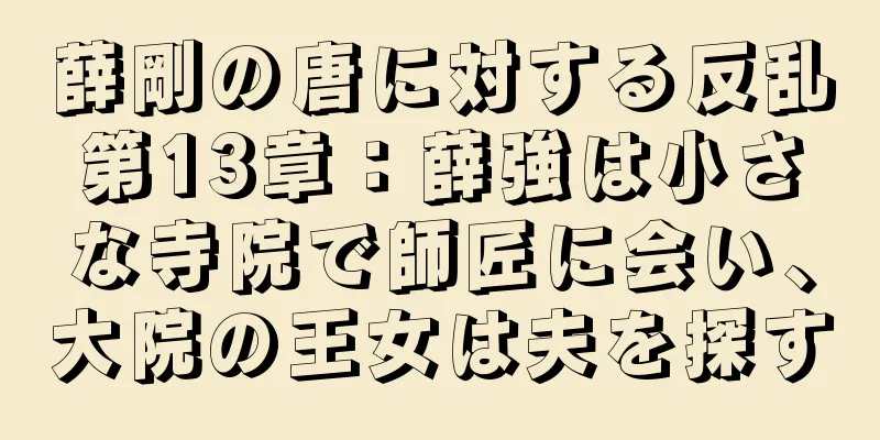 薛剛の唐に対する反乱第13章：薛強は小さな寺院で師匠に会い、大院の王女は夫を探す
