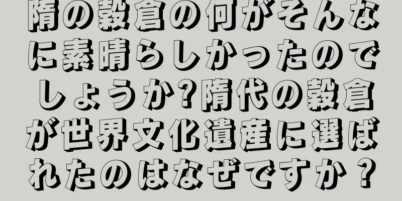 隋の穀倉の何がそんなに素晴らしかったのでしょうか?隋代の穀倉が世界文化遺産に選ばれたのはなぜですか？