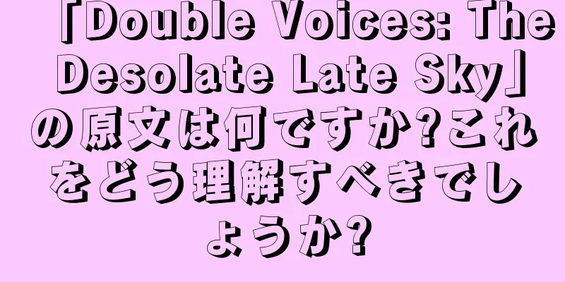 「Double Voices: The Desolate Late Sky」の原文は何ですか?これをどう理解すべきでしょうか?