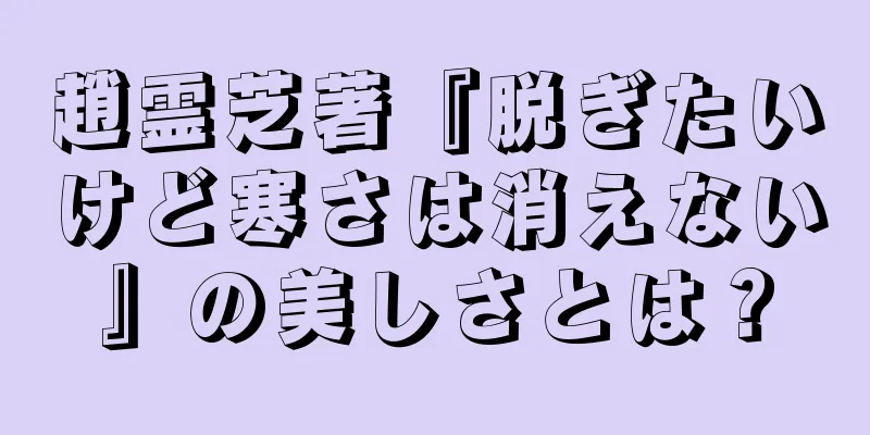 趙霊芝著『脱ぎたいけど寒さは消えない』の美しさとは？