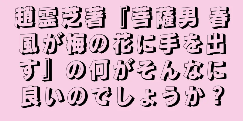 趙霊芝著『菩薩男 春風が梅の花に手を出す』の何がそんなに良いのでしょうか？