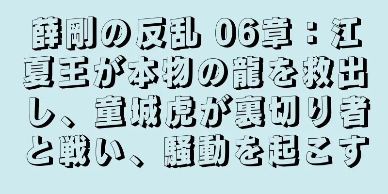 薛剛の反乱 06章：江夏王が本物の龍を救出し、童城虎が裏切り者と戦い、騒動を起こす