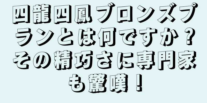 四龍四鳳ブロンズプランとは何ですか？その精巧さに専門家も驚嘆！