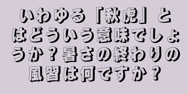 いわゆる「秋虎」とはどういう意味でしょうか？暑さの終わりの風習は何ですか？