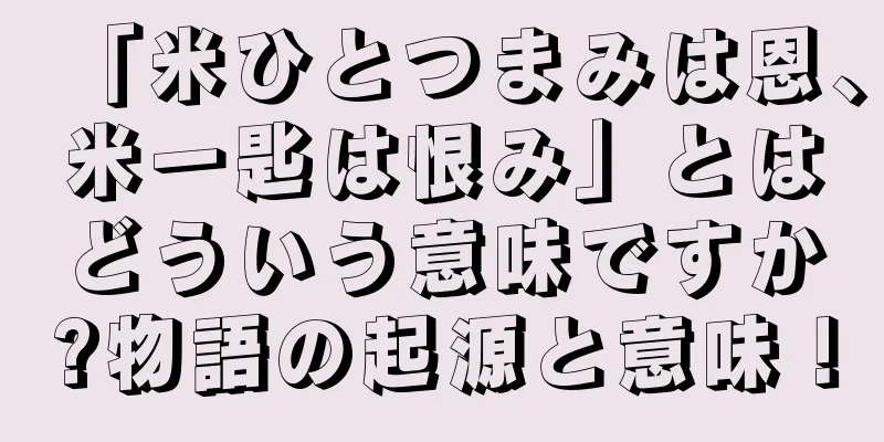 「米ひとつまみは恩、米一匙は恨み」とはどういう意味ですか?物語の起源と意味！