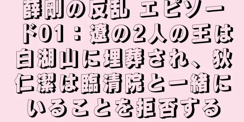 薛剛の反乱 エピソード01：遼の2人の王は白湖山に埋葬され、狄仁潔は臨清院と一緒にいることを拒否する