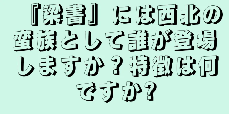 『梁書』には西北の蛮族として誰が登場しますか？特徴は何ですか?