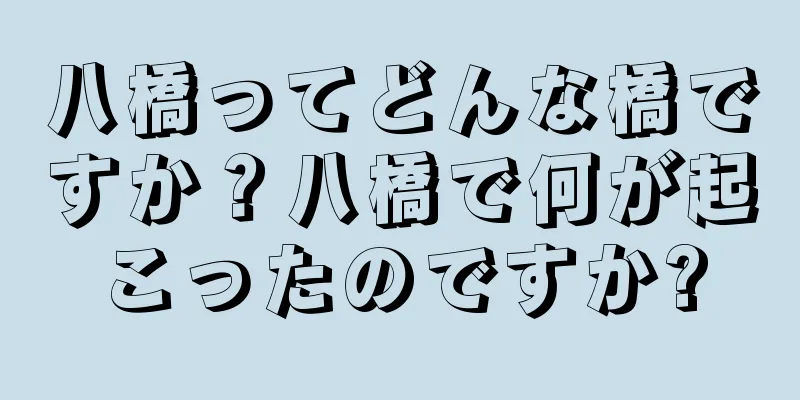 八橋ってどんな橋ですか？八橋で何が起こったのですか?