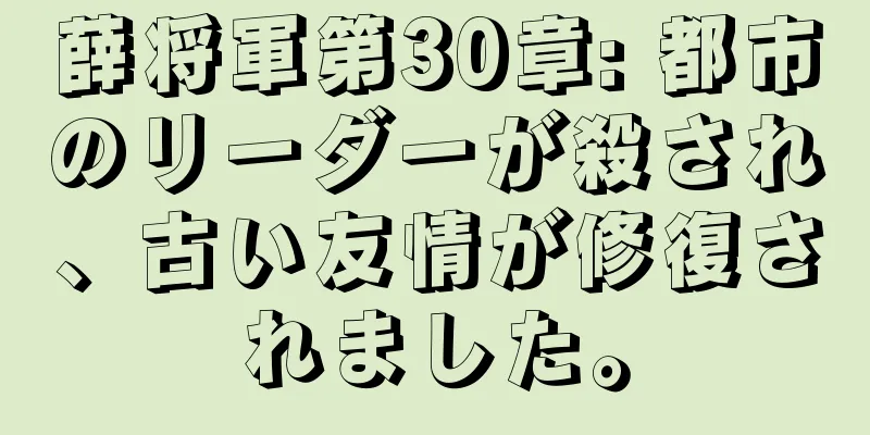 薛将軍第30章: 都市のリーダーが殺され、古い友情が修復されました。