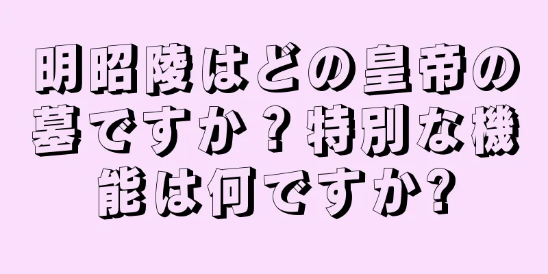 明昭陵はどの皇帝の墓ですか？特別な機能は何ですか?