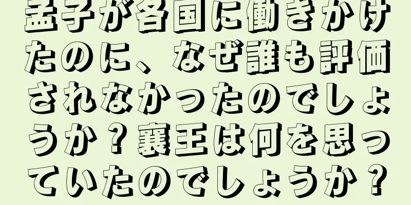 孟子が各国に働きかけたのに、なぜ誰も評価されなかったのでしょうか？襄王は何を思っていたのでしょうか？