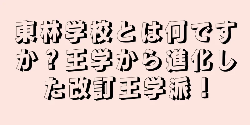 東林学校とは何ですか？王学から進化した改訂王学派！