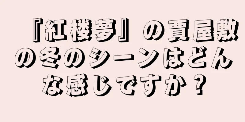 『紅楼夢』の賈屋敷の冬のシーンはどんな感じですか？