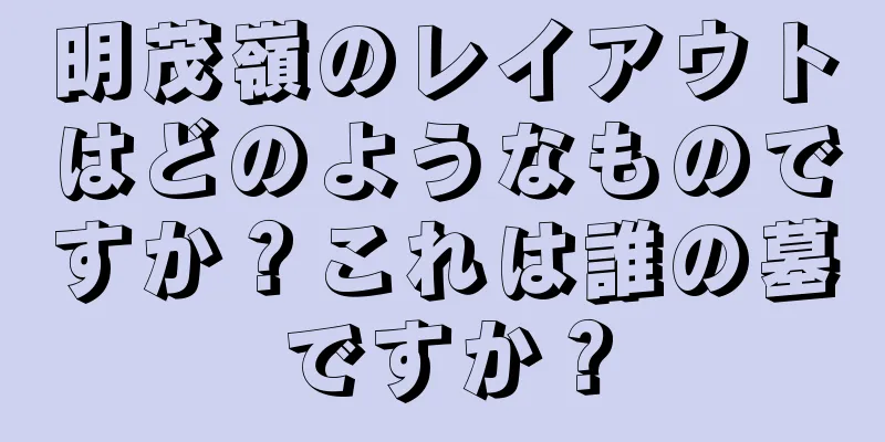 明茂嶺のレイアウトはどのようなものですか？これは誰の墓ですか？