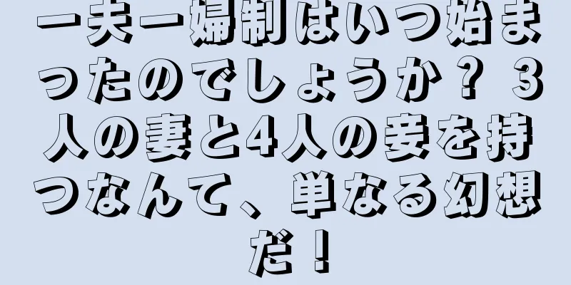 一夫一婦制はいつ始まったのでしょうか？ 3人の妻と4人の妾を持つなんて、単なる幻想だ！