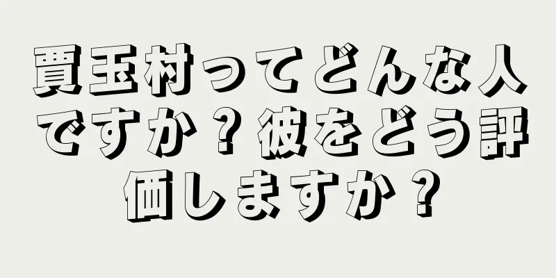 賈玉村ってどんな人ですか？彼をどう評価しますか？
