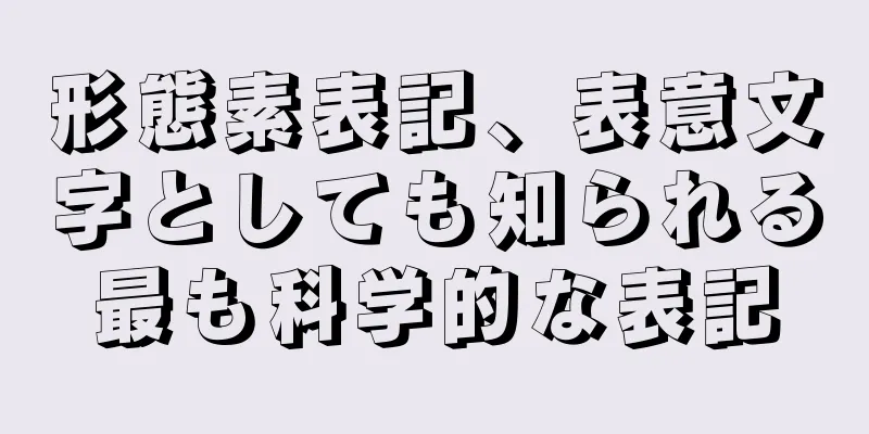 形態素表記、表意文字としても知られる最も科学的な表記