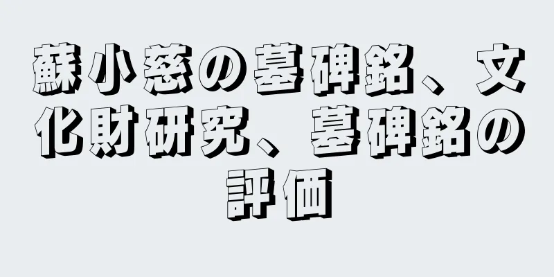 蘇小慈の墓碑銘、文化財研究、墓碑銘の評価