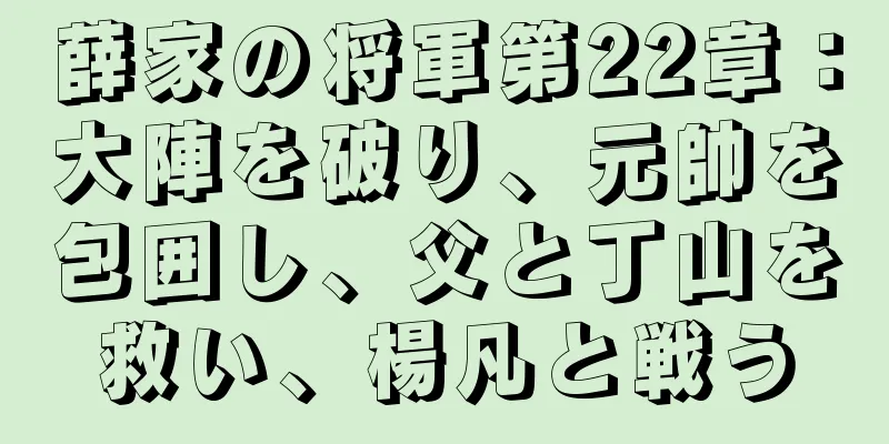薛家の将軍第22章：大陣を破り、元帥を包囲し、父と丁山を救い、楊凡と戦う