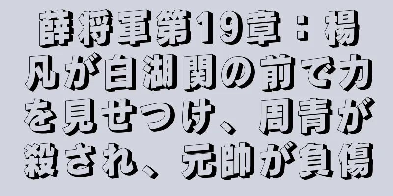 薛将軍第19章：楊凡が白湖関の前で力を見せつけ、周青が殺され、元帥が負傷
