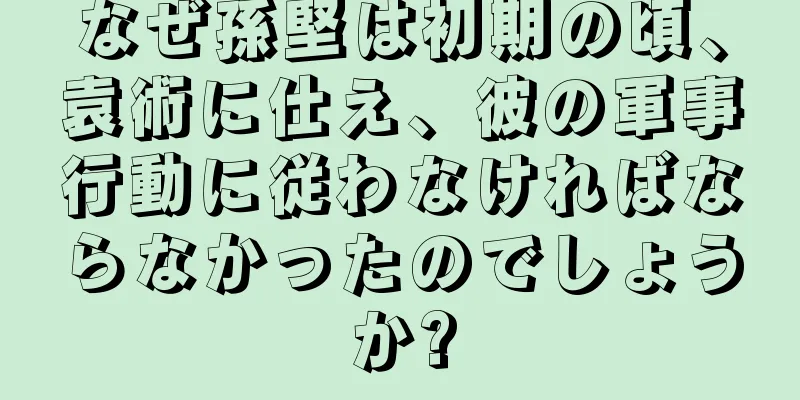 なぜ孫堅は初期の頃、袁術に仕え、彼の軍事行動に従わなければならなかったのでしょうか?