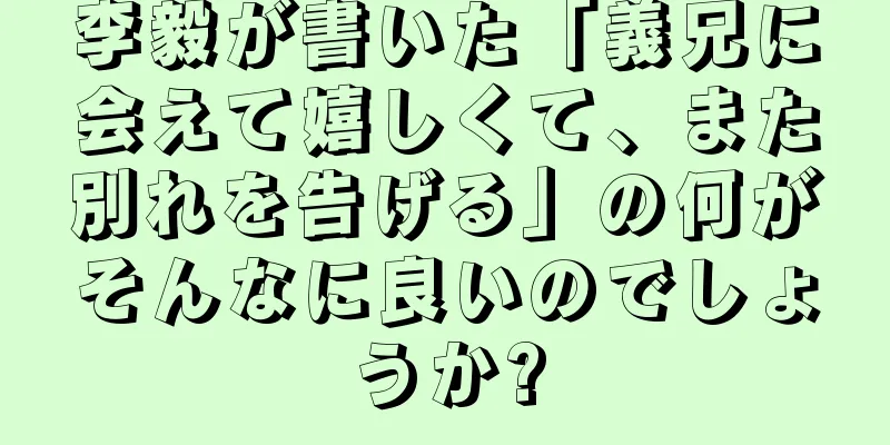 李毅が書いた「義兄に会えて嬉しくて、また別れを告げる」の何がそんなに良いのでしょうか?