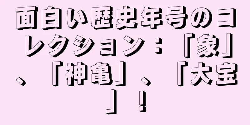 面白い歴史年号のコレクション：「象」、「神亀」、「大宝」！