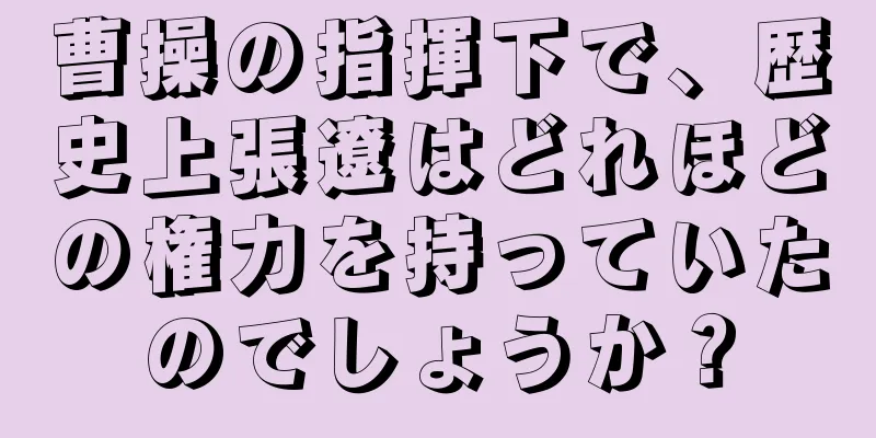 曹操の指揮下で、歴史上張遼はどれほどの権力を持っていたのでしょうか？