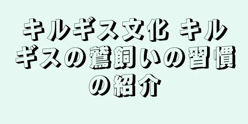 キルギス文化 キルギスの鷲飼いの習慣の紹介