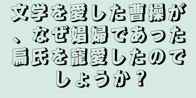 文学を愛した曹操が、なぜ娼婦であった扁氏を寵愛したのでしょうか？