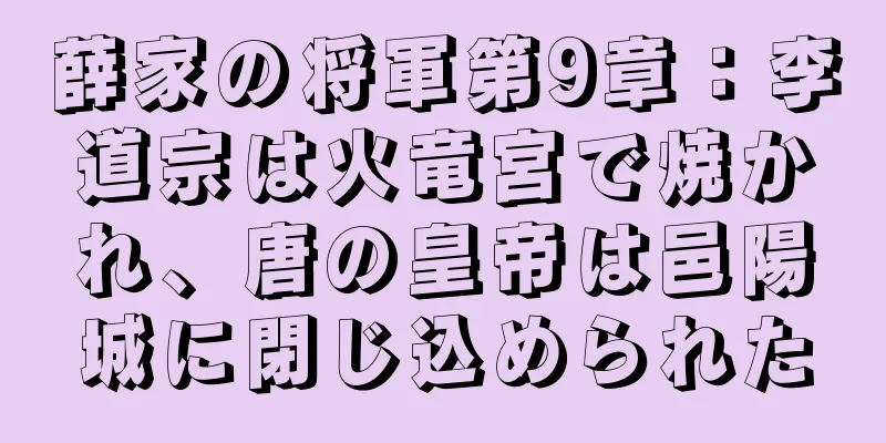 薛家の将軍第9章：李道宗は火竜宮で焼かれ、唐の皇帝は邑陽城に閉じ込められた