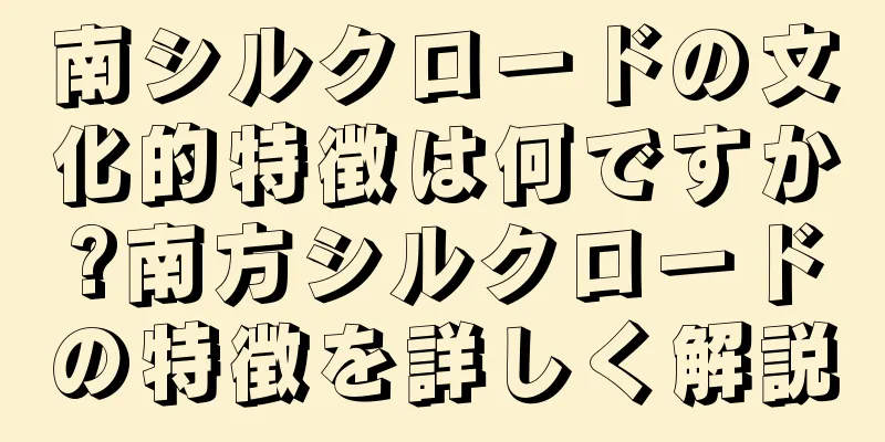 南シルクロードの文化的特徴は何ですか?南方シルクロードの特徴を詳しく解説