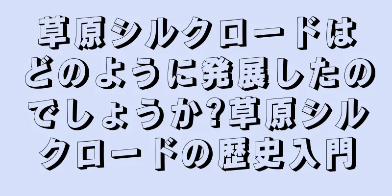 草原シルクロードはどのように発展したのでしょうか?草原シルクロードの歴史入門