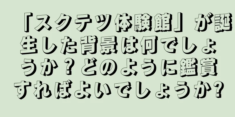 「スクテツ体験館」が誕生した背景は何でしょうか？どのように鑑賞すればよいでしょうか?