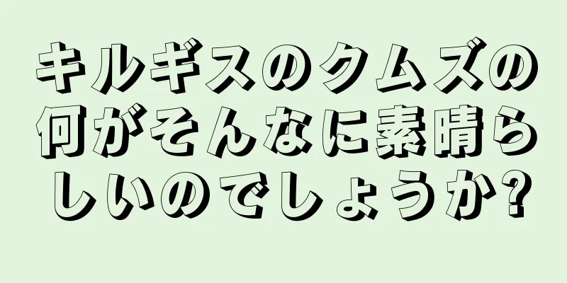 キルギスのクムズの何がそんなに素晴らしいのでしょうか?