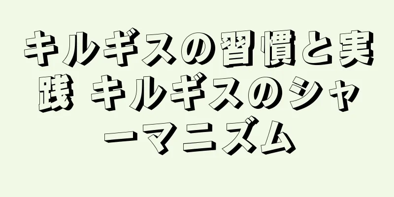 キルギスの習慣と実践 キルギスのシャーマニズム