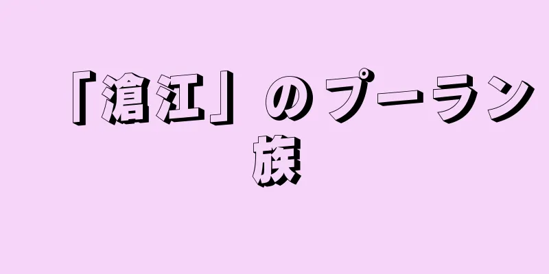 「滄江」のプーラン族
