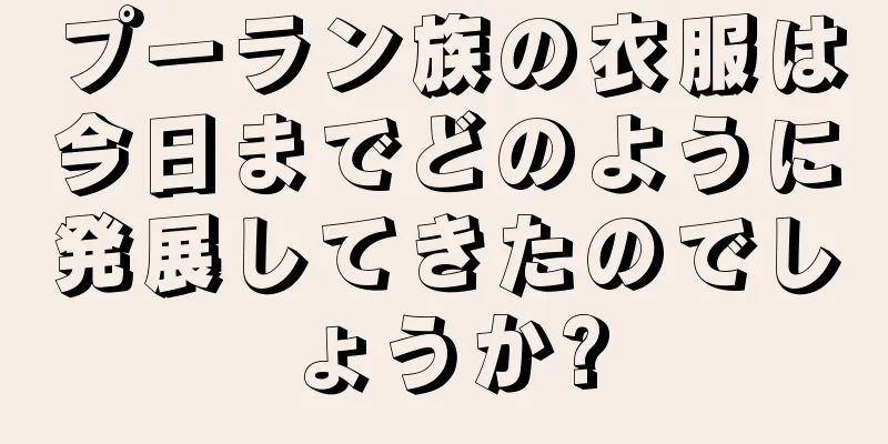 プーラン族の衣服は今日までどのように発展してきたのでしょうか?