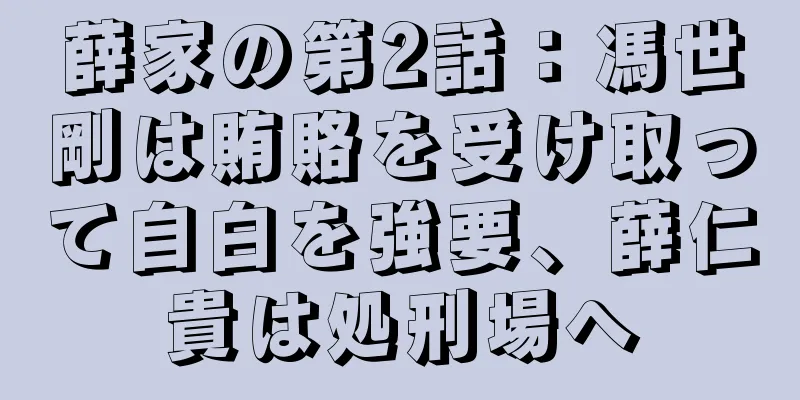 薛家の第2話：馮世剛は賄賂を受け取って自白を強要、薛仁貴は処刑場へ