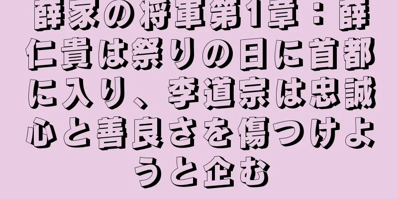 薛家の将軍第1章：薛仁貴は祭りの日に首都に入り、李道宗は忠誠心と善良さを傷つけようと企む