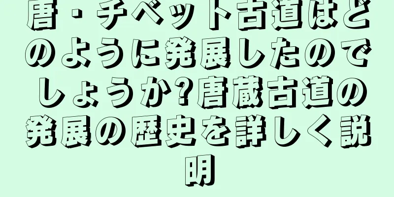 唐・チベット古道はどのように発展したのでしょうか?唐蔵古道の発展の歴史を詳しく説明