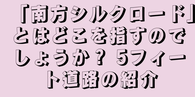「南方シルクロード」とはどこを指すのでしょうか？ 5フィート道路の紹介