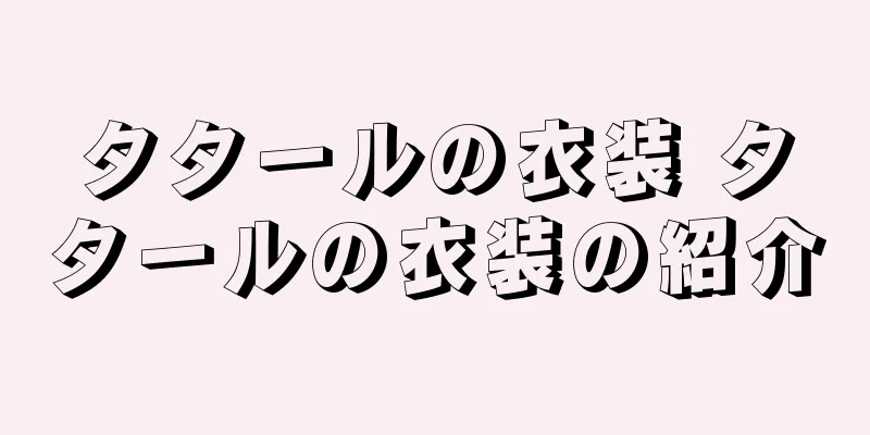 タタールの衣装 タタールの衣装の紹介